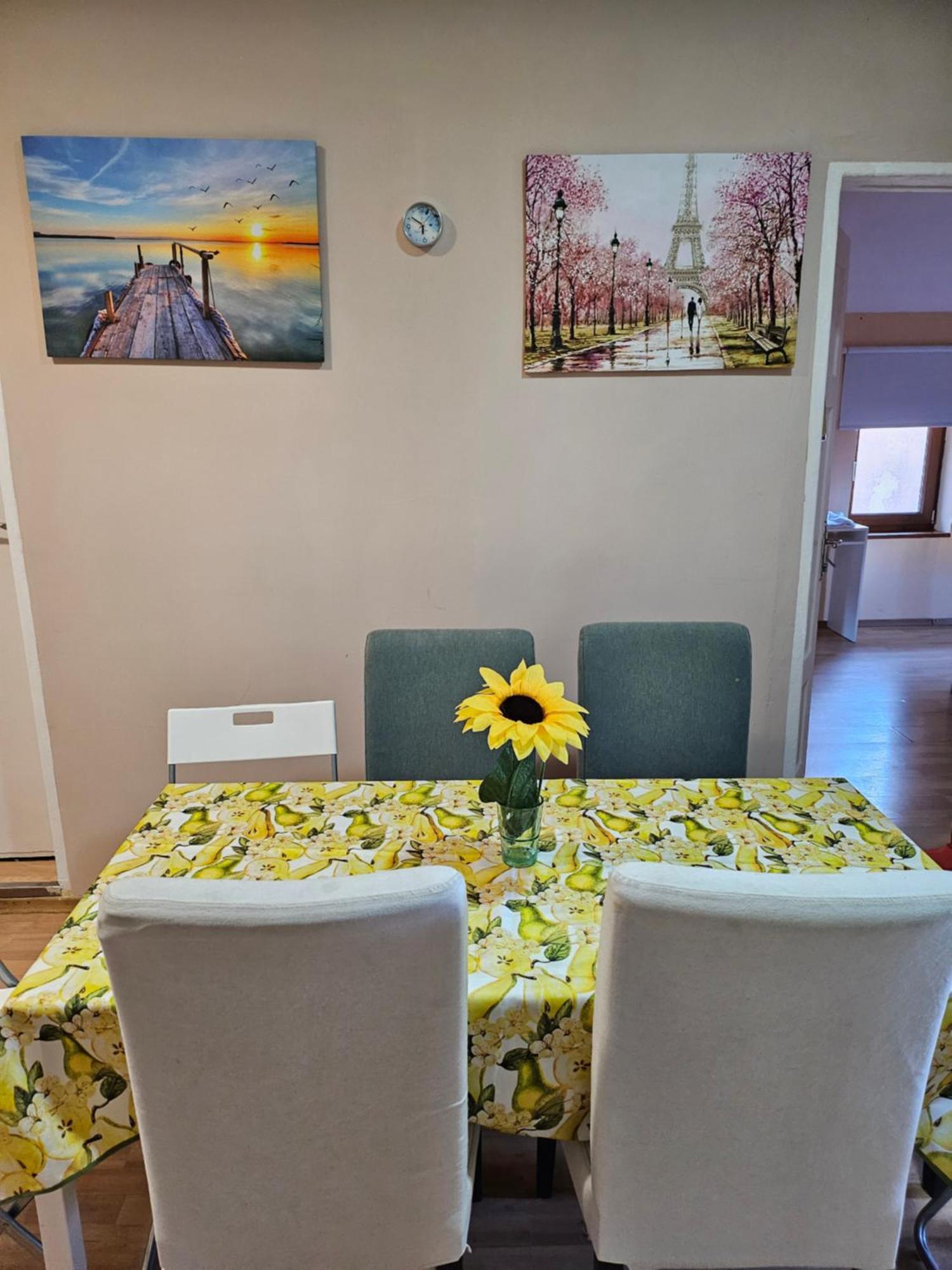 Vitoshka Biggest Apartment Σόφια Εξωτερικό φωτογραφία